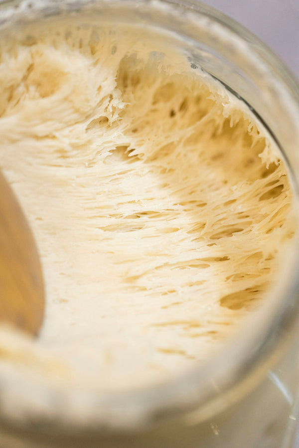 Sourdough Starter Not Rising? 7 Fixes That Actually Work (UK Guide)