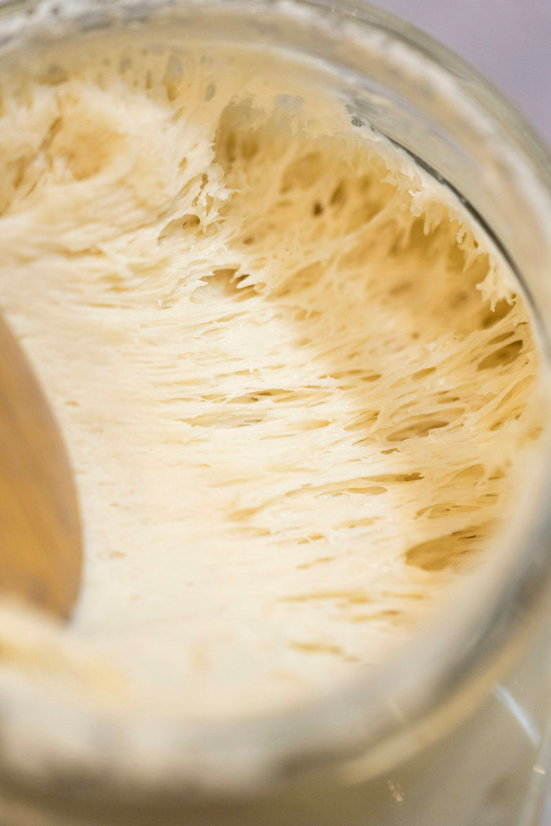 Sourdough Starter Not Rising? 7 Fixes That Actually Work (UK Guide)