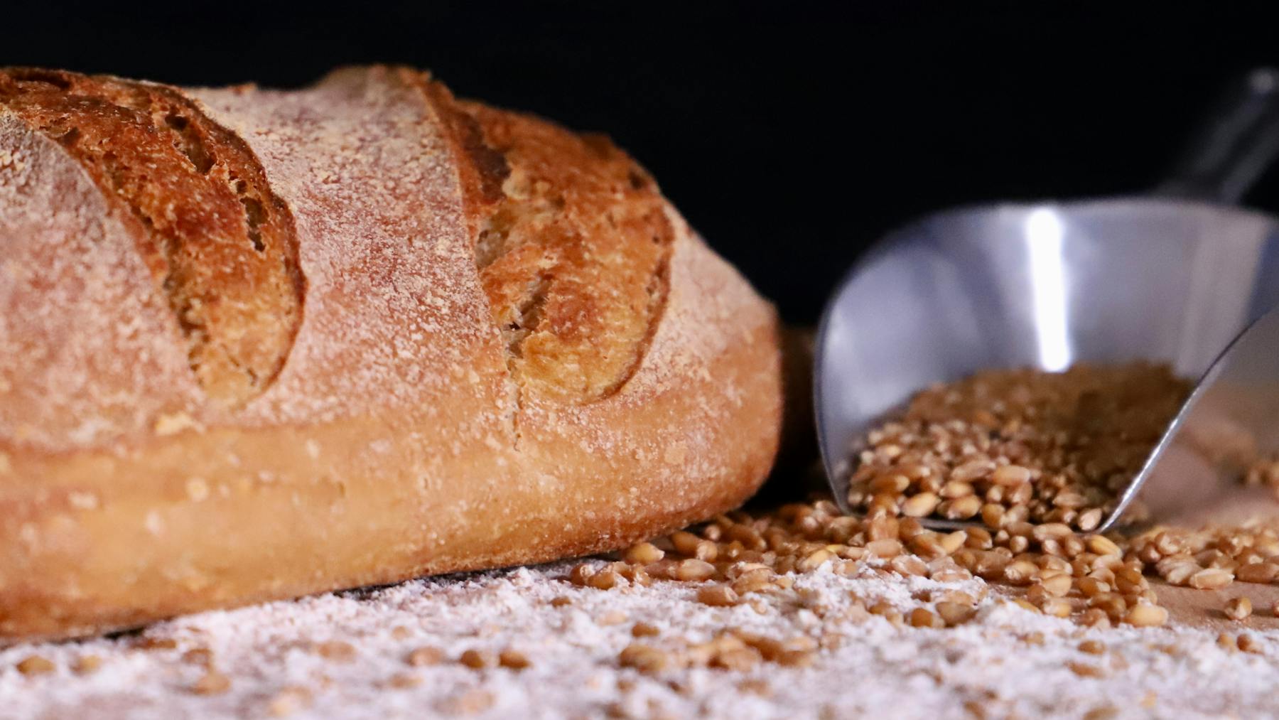 From Sourdough Discard Pizza to Your First Loaf — A Confidence Bridge