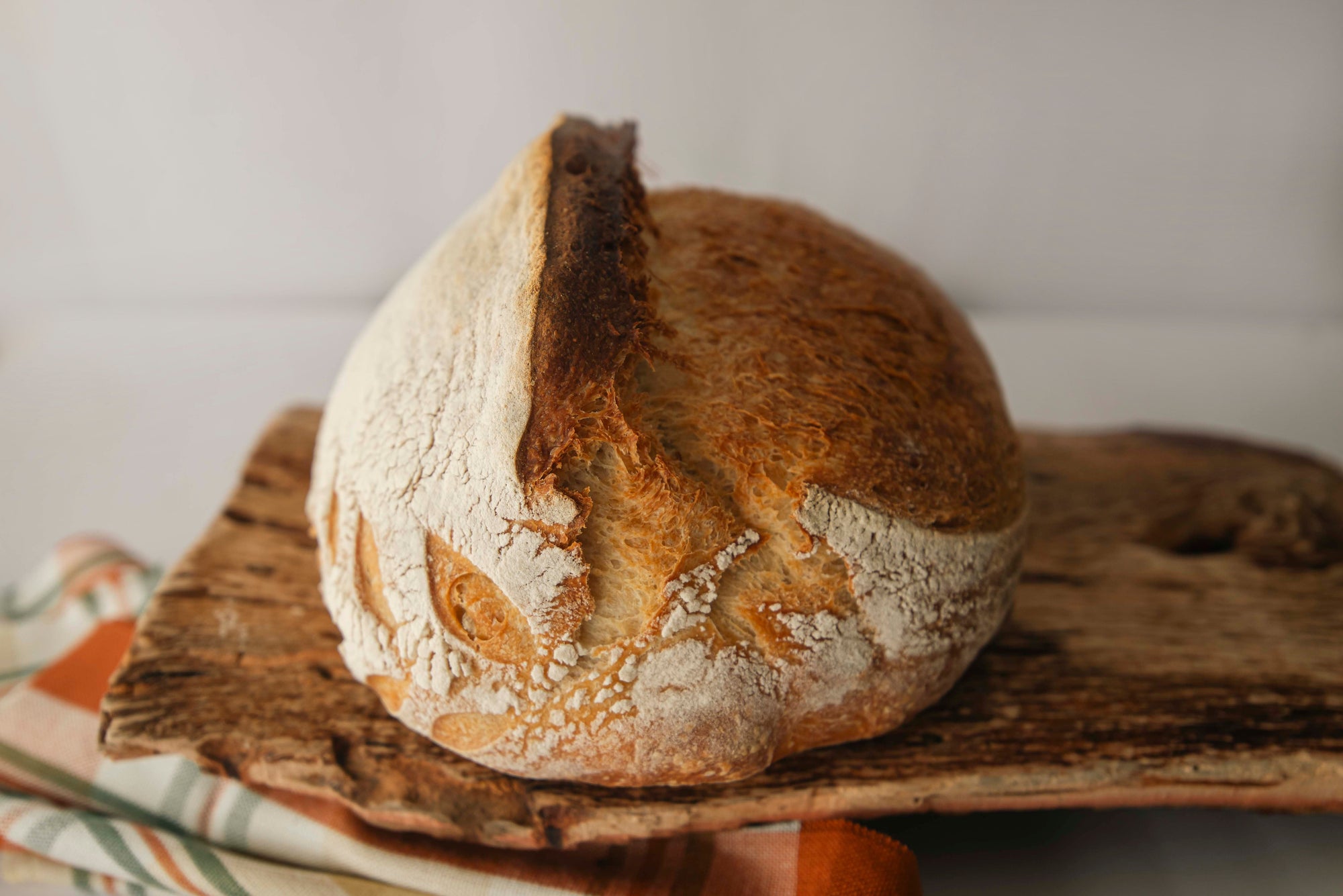 Sourdough Starter Recipe — A Simple UK Method
