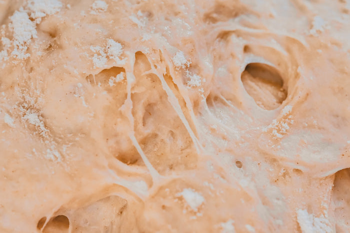 The Express Sourdough Starter Kit