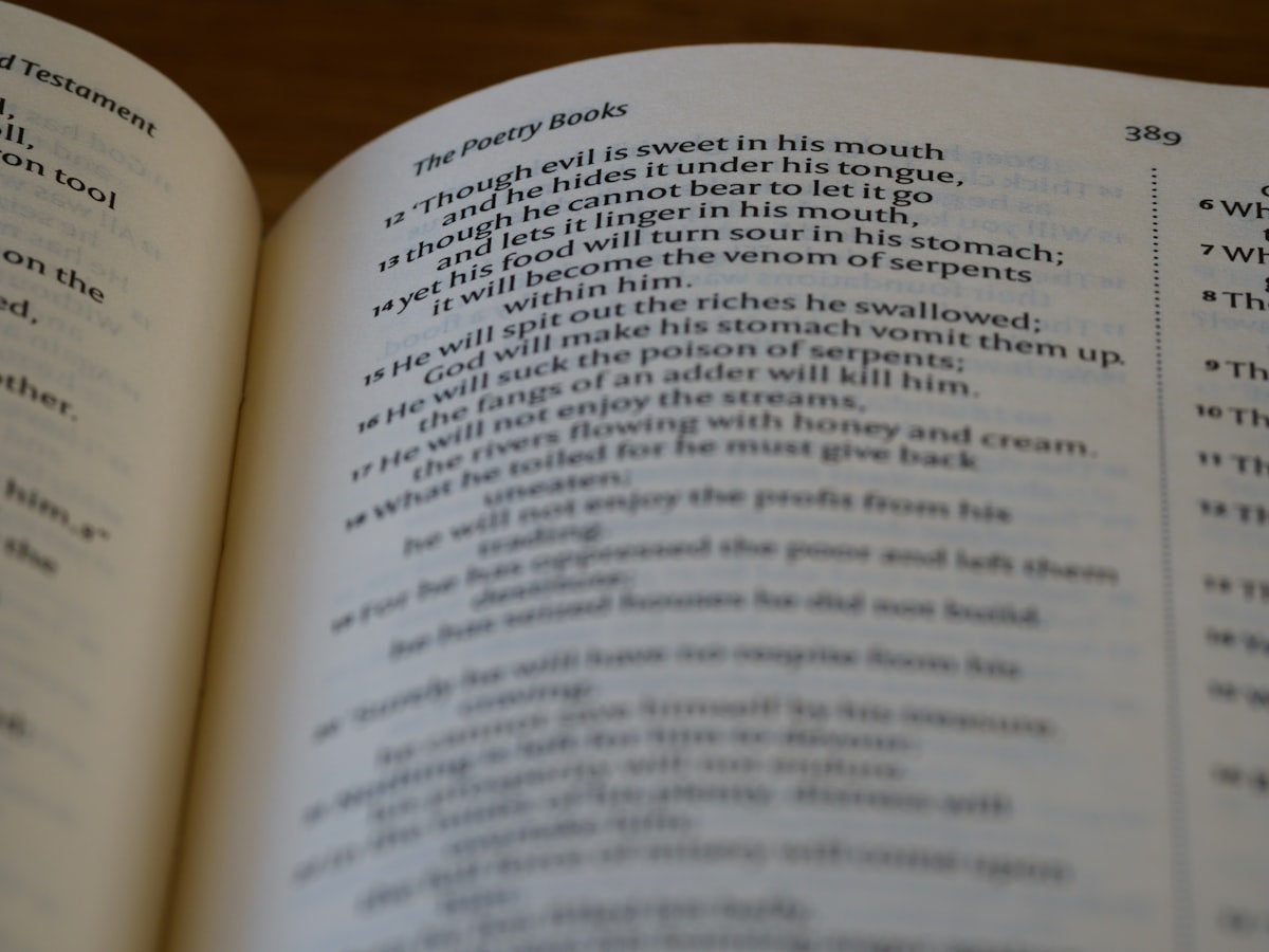 An open recipe book on a kitchen surface, photographed from above with warm natural light